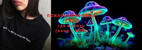 эйфоретик Алексин