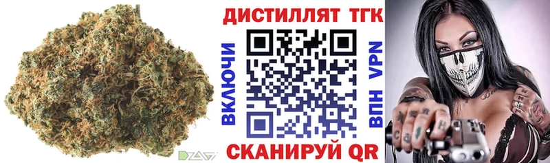 закладка  Ачхой-Мартан  Дистиллят ТГК концентрат 