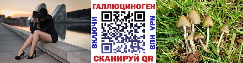 Галлюциногенные грибы мицелий  Ачхой-Мартан 