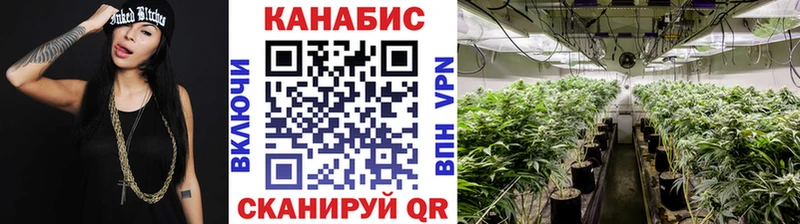 Шишки марихуана AK-47  наркотики  Ачхой-Мартан 